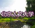 再按需打开相关阅读