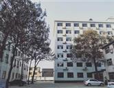 公开信息按发布时间滚动