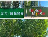 再进入全文