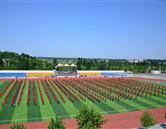 再进入全文