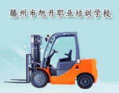 公开信息按发布时间滚动
