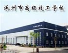 类别：高职专科