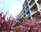 类别：学历全民彩票app下载