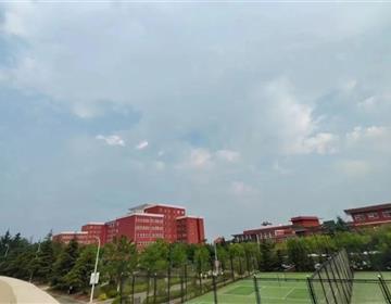 地址：泰安