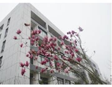 继续全民彩票官方平台帮助中心