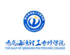 类别：高职本科