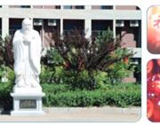 地址：其他