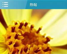 即可像电脑一样快速发布信息和浏览本地